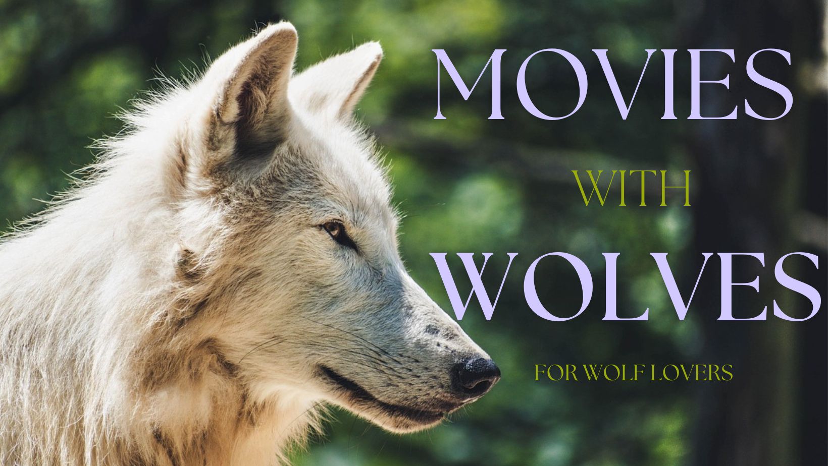 16 Movies With Wolves in Them: For Wolf Lovers (no werewolves)