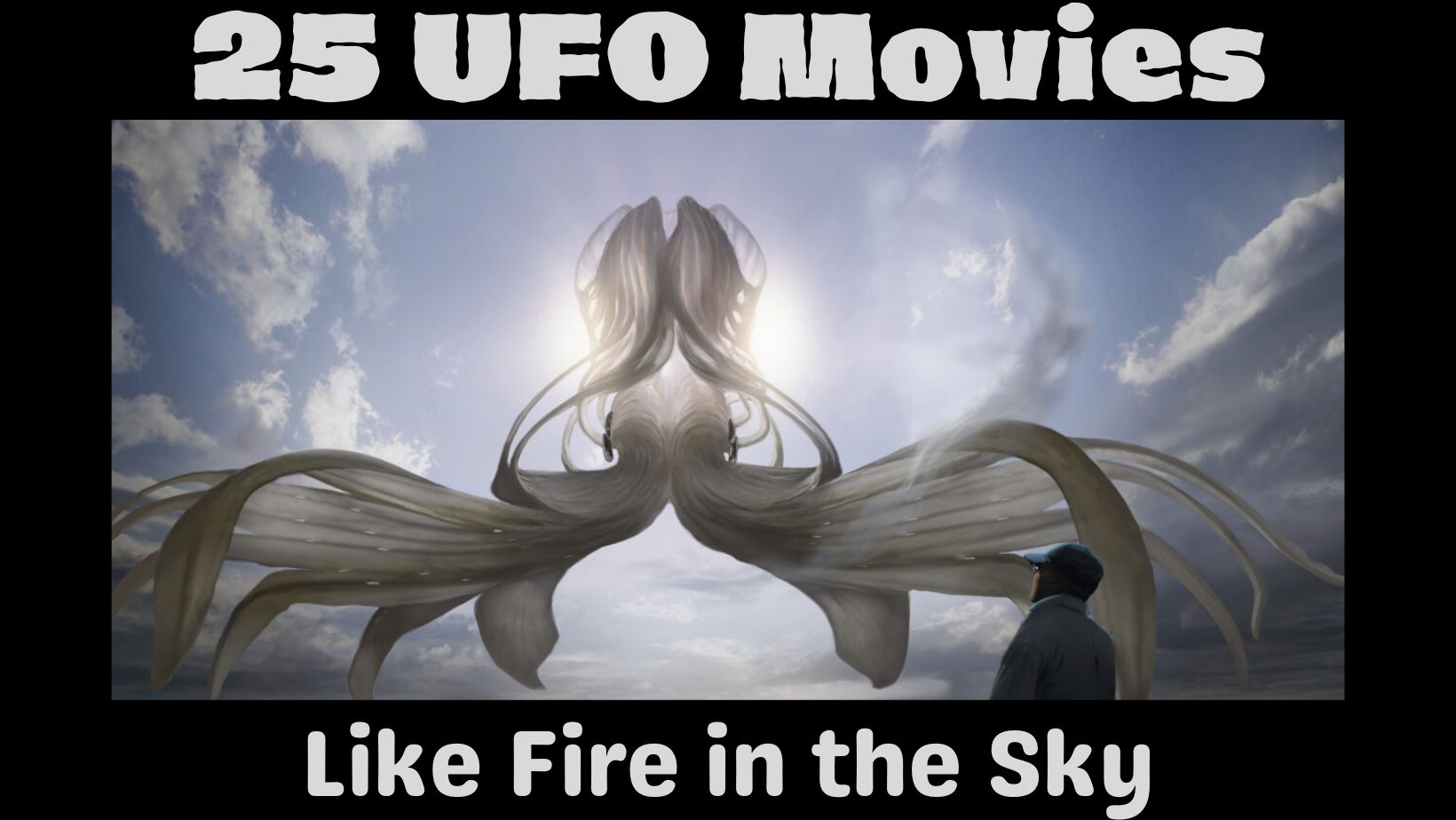 Like This Watch That: 25 UFO Movies Like Fire in the Sky